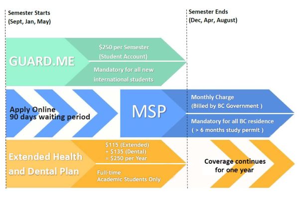 Chart for Guard.me MSP and Extended Health and Dental at 